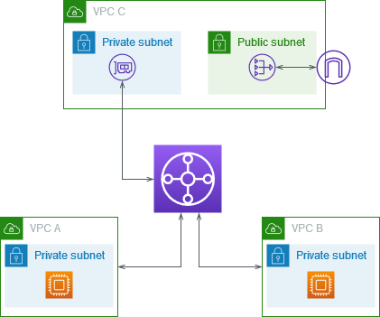 tgw-centralized-nat-igw